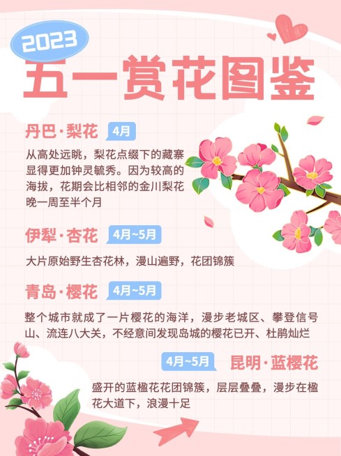 旅游赏花攻略浪漫感粉丝小红书配图预览效果