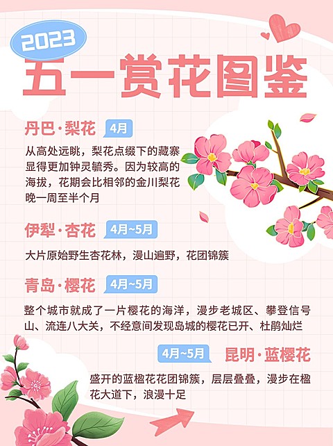 旅游赏花攻略浪漫感粉丝小红书配图