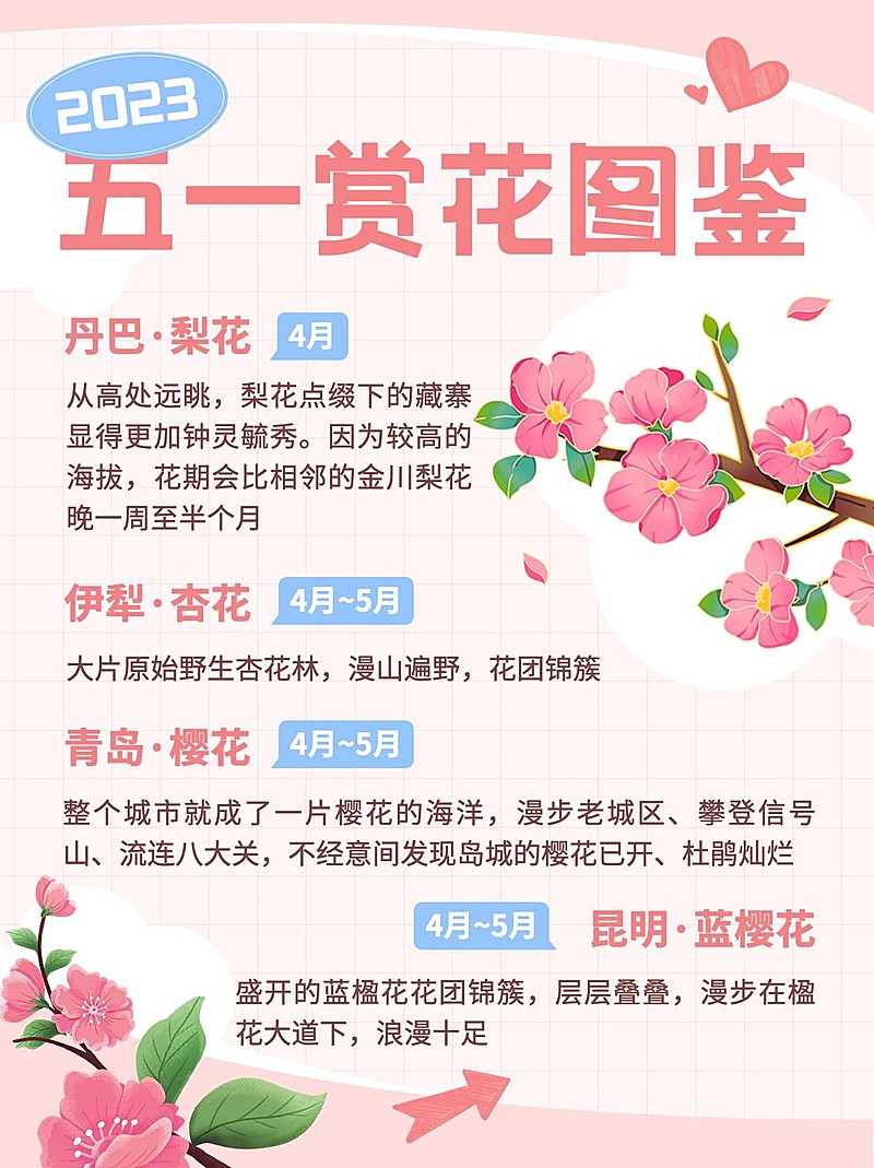 旅游赏花攻略浪漫感粉丝小红书配图