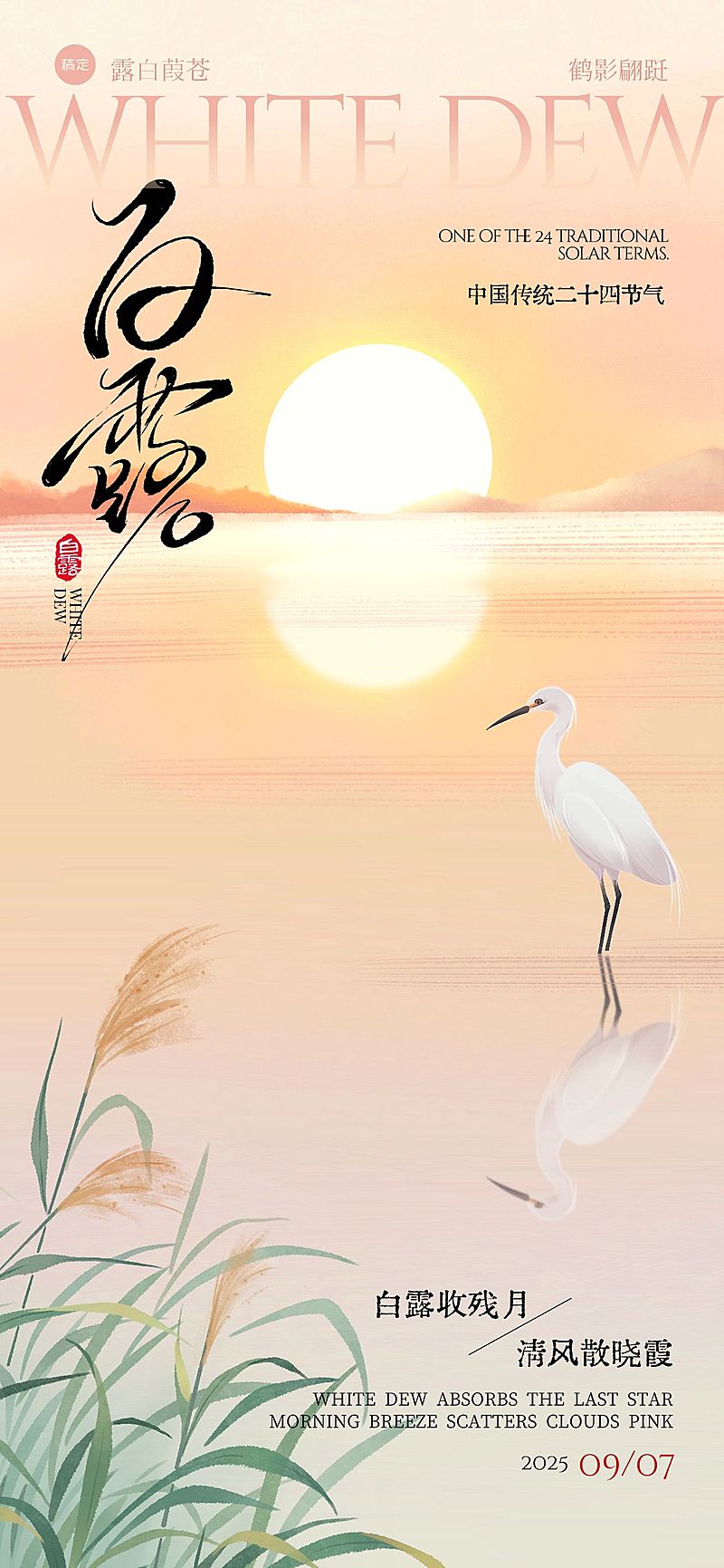 白露肌理感湖泊芦苇白鹭海报