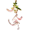 春分字体