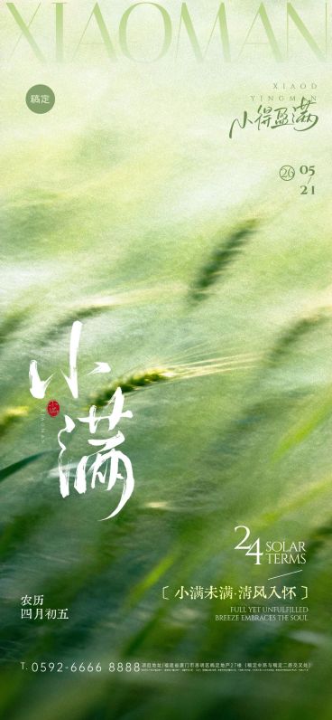 小满节气祝福通用唯美感全屏竖版海报预览效果