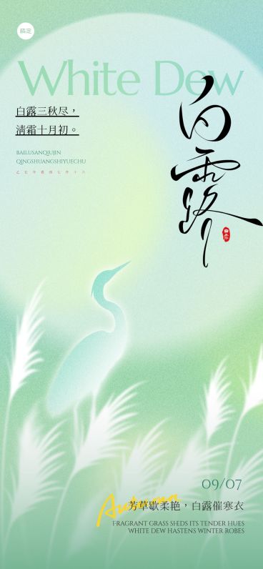 白露弥散渐变芦苇白鹭海报预览效果