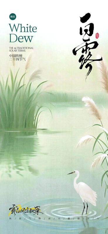 白露节气肌理感湖泊倒影白鹭芦苇海报AIGC预览效果