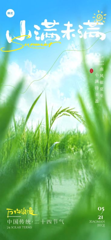 小满节气祝福通用清新感全屏竖版海报预览效果