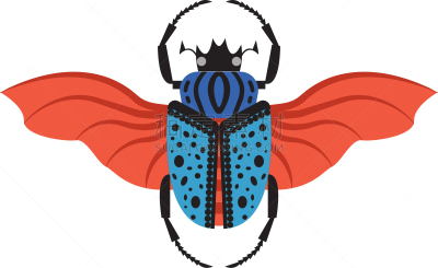 计算机图标,色彩鲜艳,Goliath Beetle,扁平化设计,分离着色,白色,斑点,最大,甲虫,飞