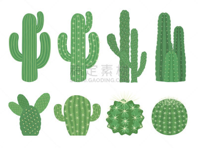 仙人掌,绘画插图,荆棘,自然,背景分离,图像,室内植物,肉质植物,针叶,叶子