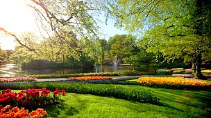 库肯霍夫花园。利赛，荷兰。