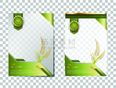 食品,黄金,模板,矢量,泰国,稻,标语,海报,商品,绿色