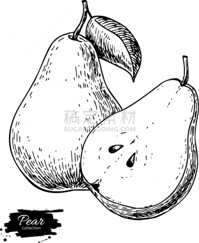 梨,分离着色,动物手,素食,菜单,清新,食品,维生素,绘制,复古