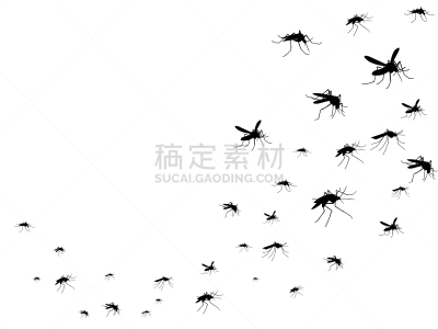 蚊子,分离着色,黑色,白色,生物学,创造力,自然,飞,剪影,吸