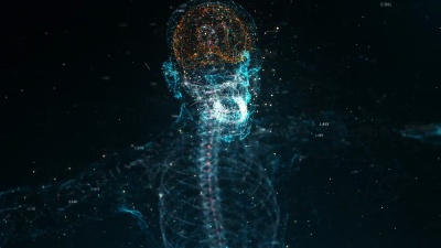 人体