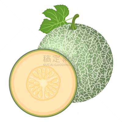 水果,有机食品,完整,瓜,健康生活方式,矢量,式样,清新,绘画插图,卡通