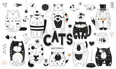 funny cats set