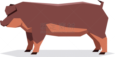 几何形状,杜洛克猪,平坦的,可爱的,农业,纯种犬,食品,哺乳纲,猪,动物