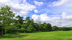 天空中的云在公园的绿树上移动，夏日，延时摄影