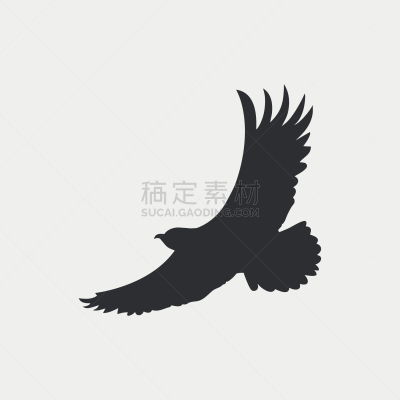 鹰,计算机图标,野生动物,敏捷,老鹰,动物,鸟类