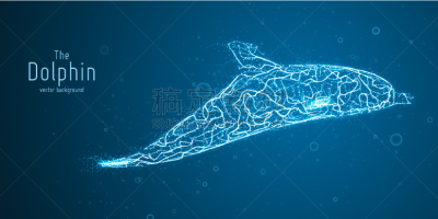 海豚,几何形状,青绿色,未来,分离着色,轮廓,自然,概念,野生动物,肖像