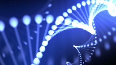 提取蓝DNA