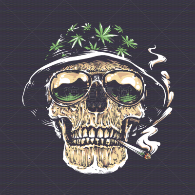 头骨,部落艺术,人,塔法里教教徒,瘾君子,叶子,矢量,奇异的