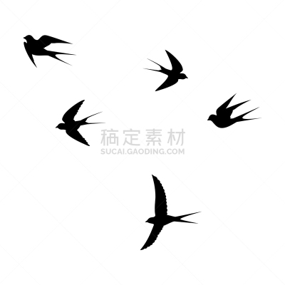 鸟类,天空,一只动物,白色,图像,天气,水滴,暴风雨,矢量,飞