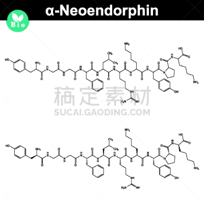 化学制品,模型,下丘脑,人,白色,酸,图像,矢量,爱
