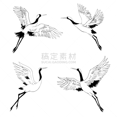 黑色,阴影,墨水,鹤,符号,野生动物,白鹭,鹳,剪影