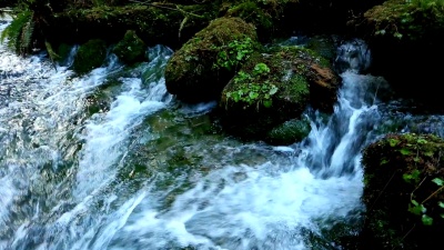 淡水泉水