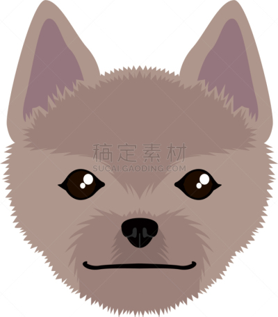 诺维奇犬,头像,可爱的,性格,友谊,宠物,图像,矢量,分离着色,肖像