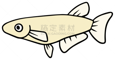 鱼类,矢量,绘画插图,科技,科学实验,简单,公园,池塘,小的,动物