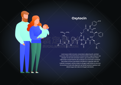 家庭,性格,矢量,科学,平坦的,荷尔蒙,极简构图,教育,设计