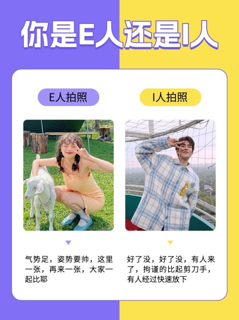 MBTI性格测试对比图小红书封面预览效果