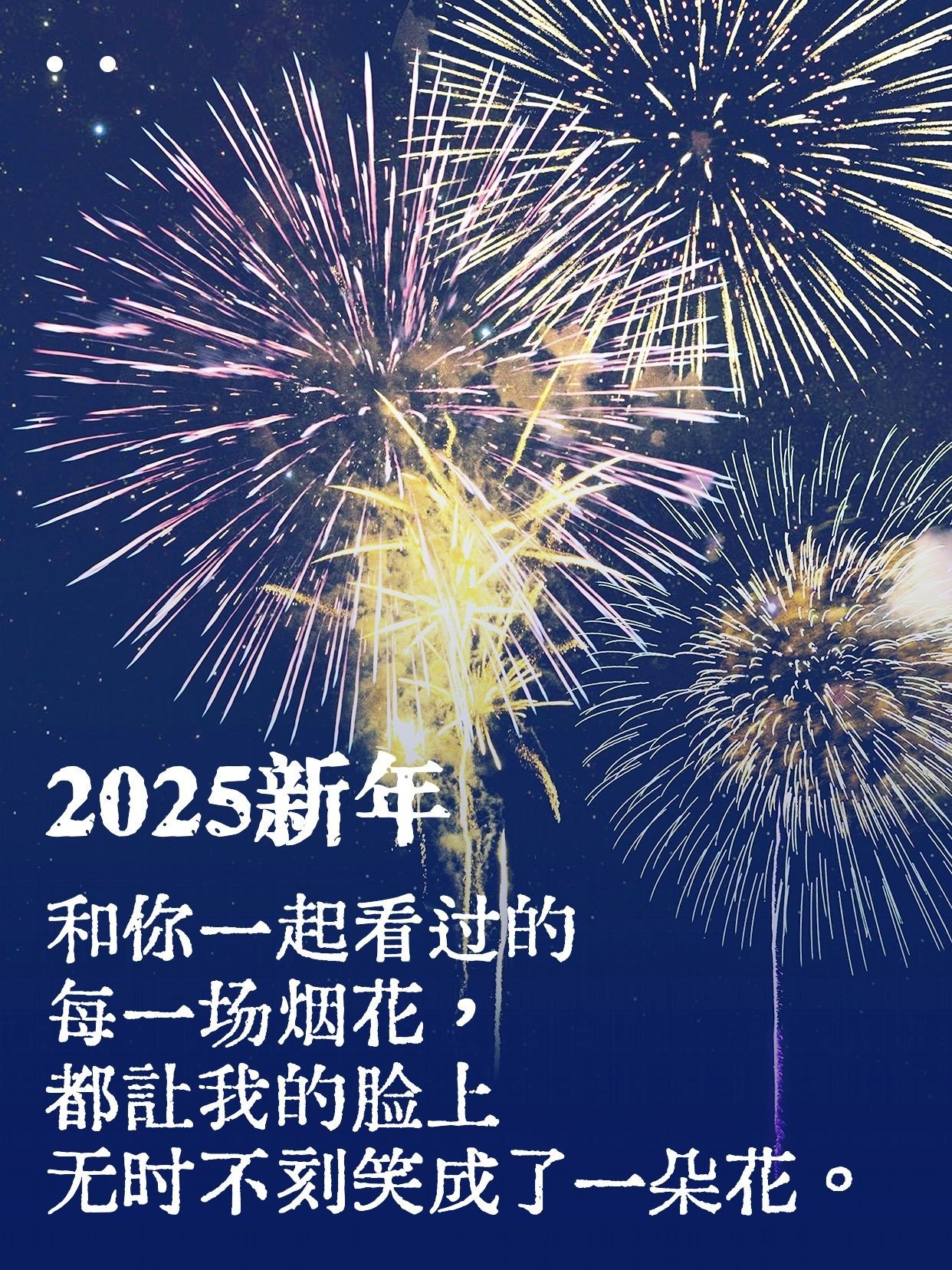 新年元旦节日祝福烟花秀小红书封面预览效果