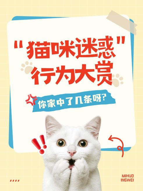 生活分享宠物行为大赏可爱meme爆款大字小红书封面aigc预览效果