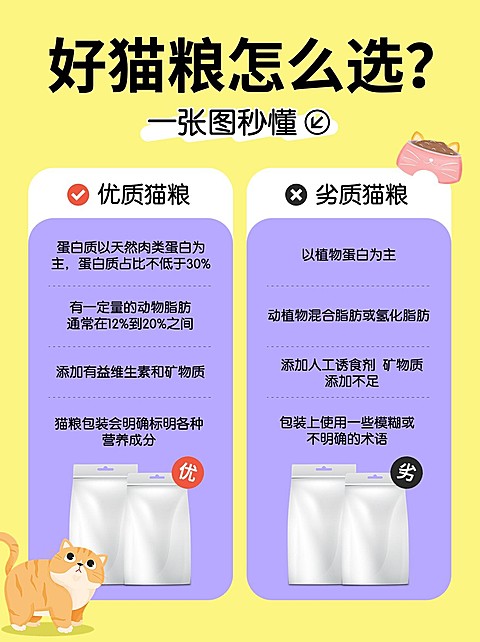 宠物科普测评对比小红书配图
