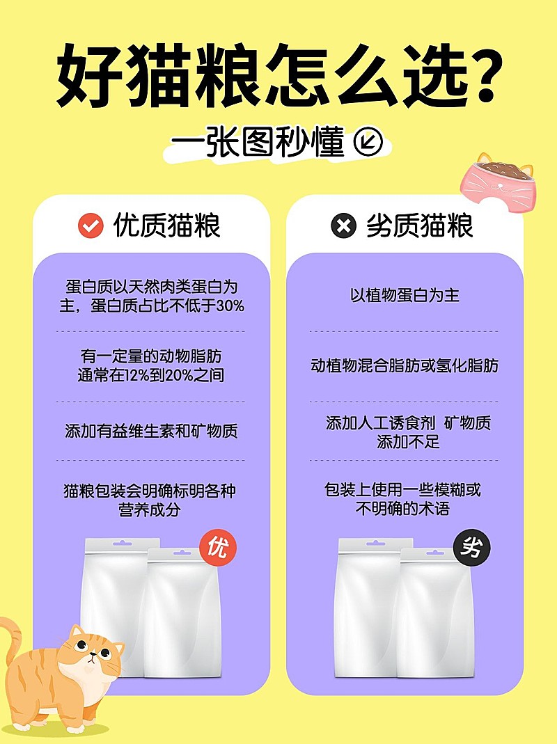 宠物科普测评对比小红书配图