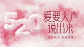 模板缩略图