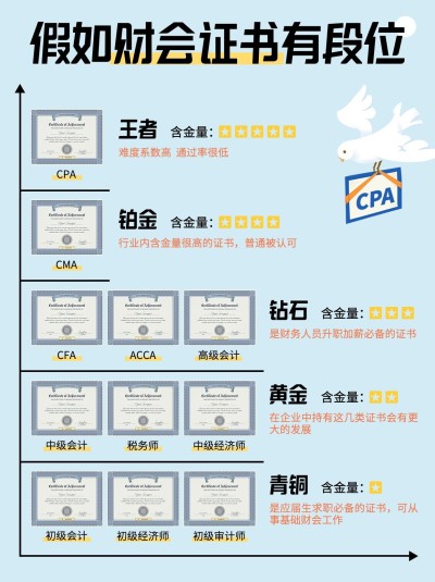 会计财会金字塔小红书配图