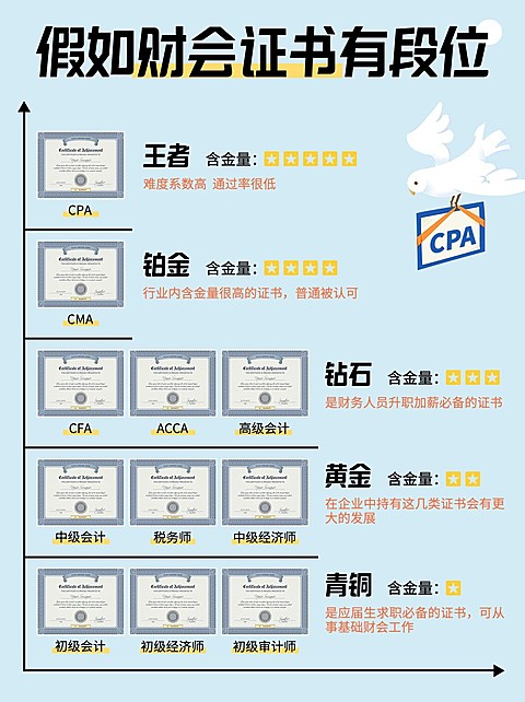会计财会金字塔小红书配图
