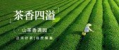 模板缩略图
