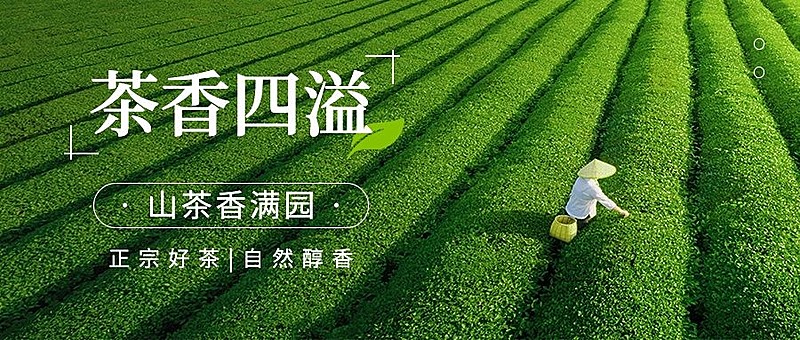 茶叶营销卖货宣传公众号首图公众号推文封面