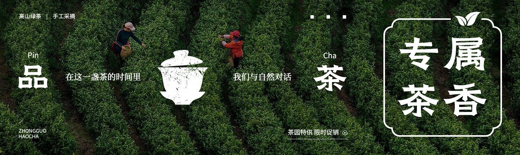茶叶营销宣传公众号首图推文封面预览效果