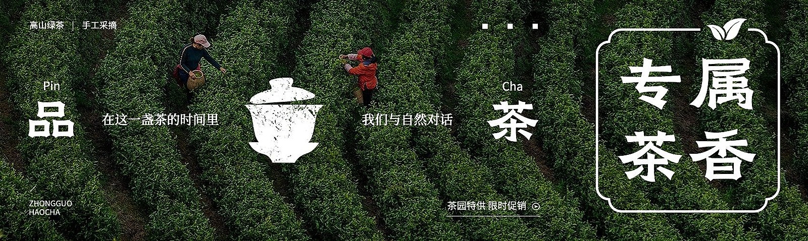 茶叶营销宣传公众号首图推文封面