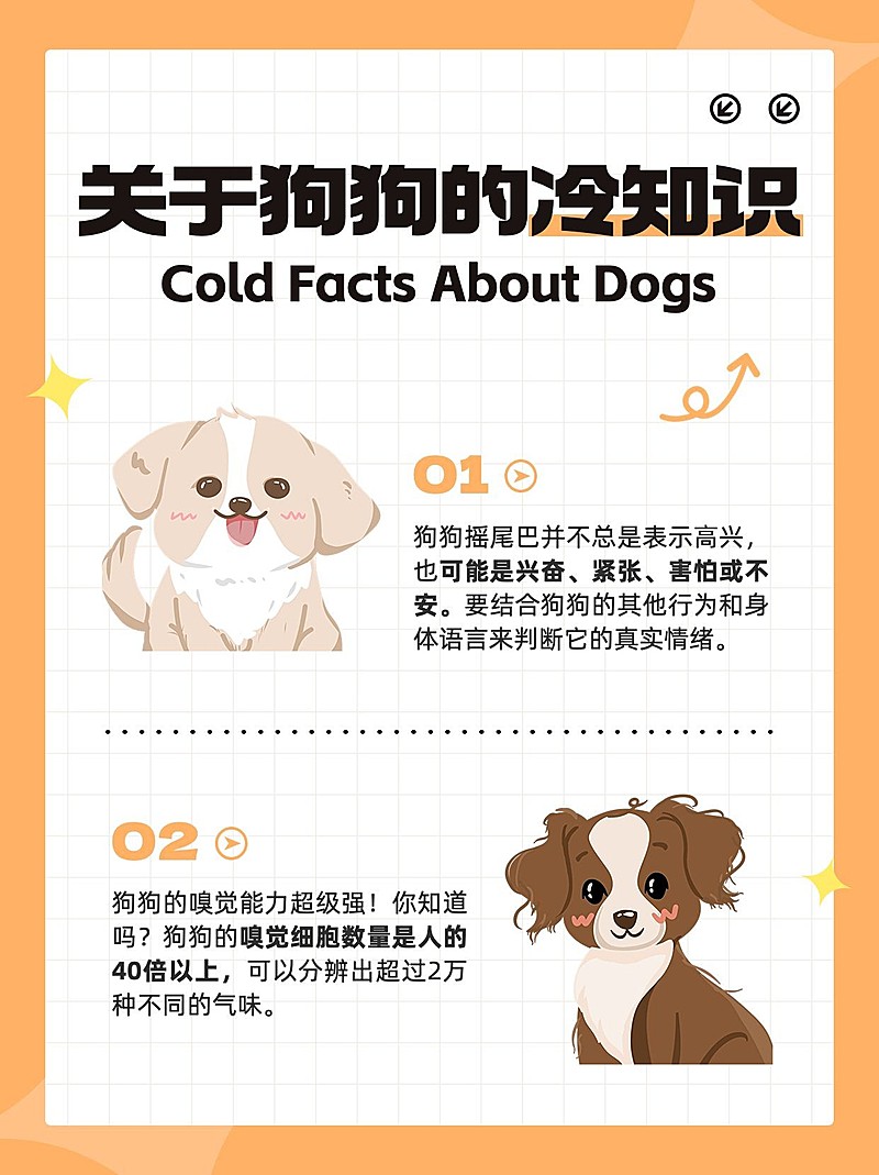 宠物知识科普手帐风套装小红书配图