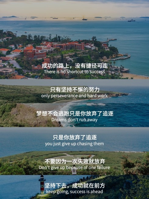 电影赏析台词截图小红书封面预览效果