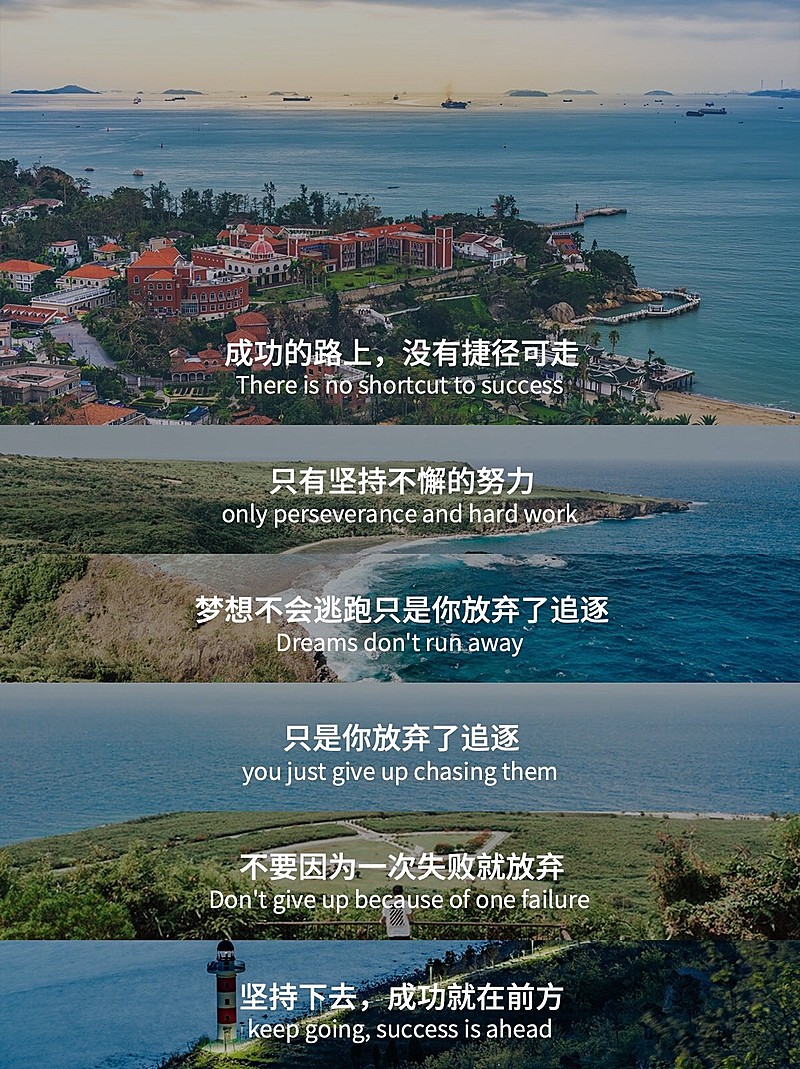 电影赏析台词截图小红书封面