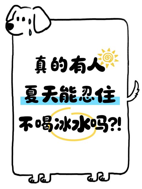 线条小狗创意文本框小红书封面预览效果