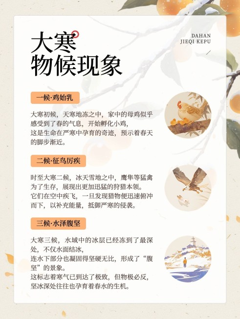 大寒节气科普小红书套装小红书配图aigc预览效果