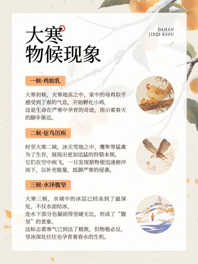 大寒节气科普小红书套装小红书配图aigc