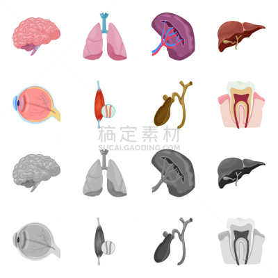 人,品牌名称,生物学,分离着色,健康保健,平滑的,图表,思考,收集